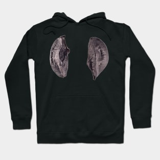 Chives seeds under microscope Hoodie